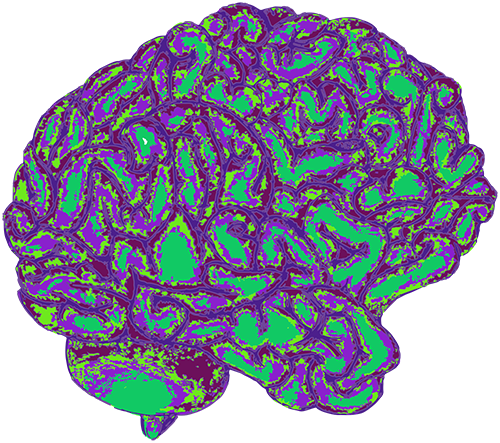 Illustration of brain.